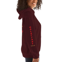 GALATIANS 5:22-23 | Premium SCRIPT Design SRB Adult or Teen Unisex Hoodie