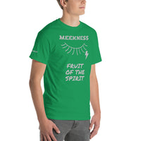 MEEKNESS F | Premium HS FRUIT Design SR Adult or Teen Unisex T-shirt