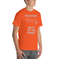 MEEKNESS F | Premium HS FRUIT Design SR Adult or Teen Unisex T-shirt