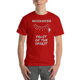 MEEKNESS F | Premium HS FRUIT Design SR Adult or Teen Unisex T-shirt