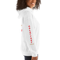 GALATIANS 5:22-23 | Premium SCRIPT Design SRB Adult or Teen Unisex Hoodie