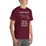 MEEKNESS F | Premium HS FRUIT Design SR Adult or Teen Unisex T-shirt