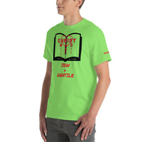 HOLY DAY | Premium STATEMENT HD Design SLR Adult or Teen Unisex T-Shirt