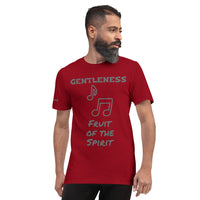 GENTLENESS F | Premium HS FRUIT Design SR Adult or Teen Unisex T-shirt