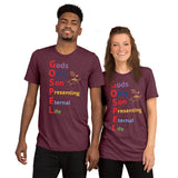 GOSPEL | Premium STMT Design WORD Adult or Teen Unisex T-shirt